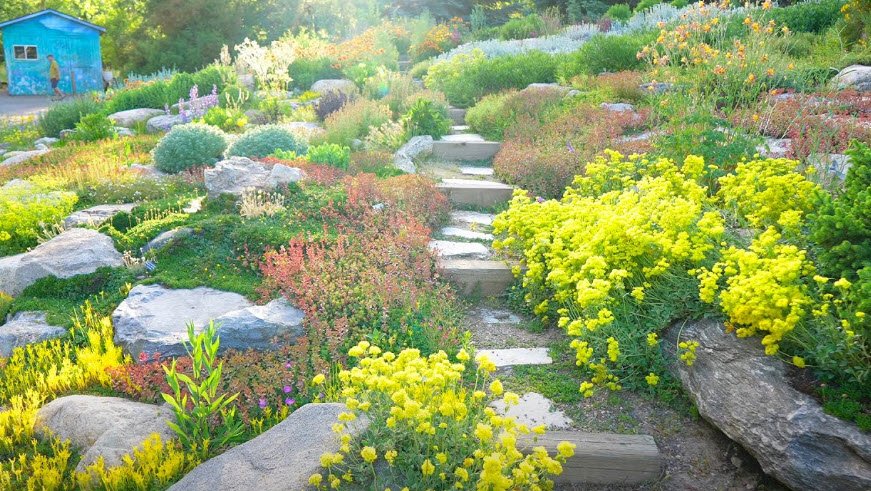 Yampa River Botanic Park , United States
